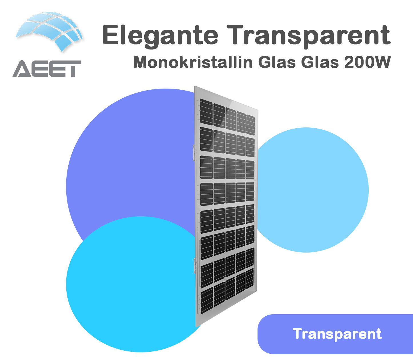Solarmodule 1600x950x9mm Glas Glas Transparent Mono